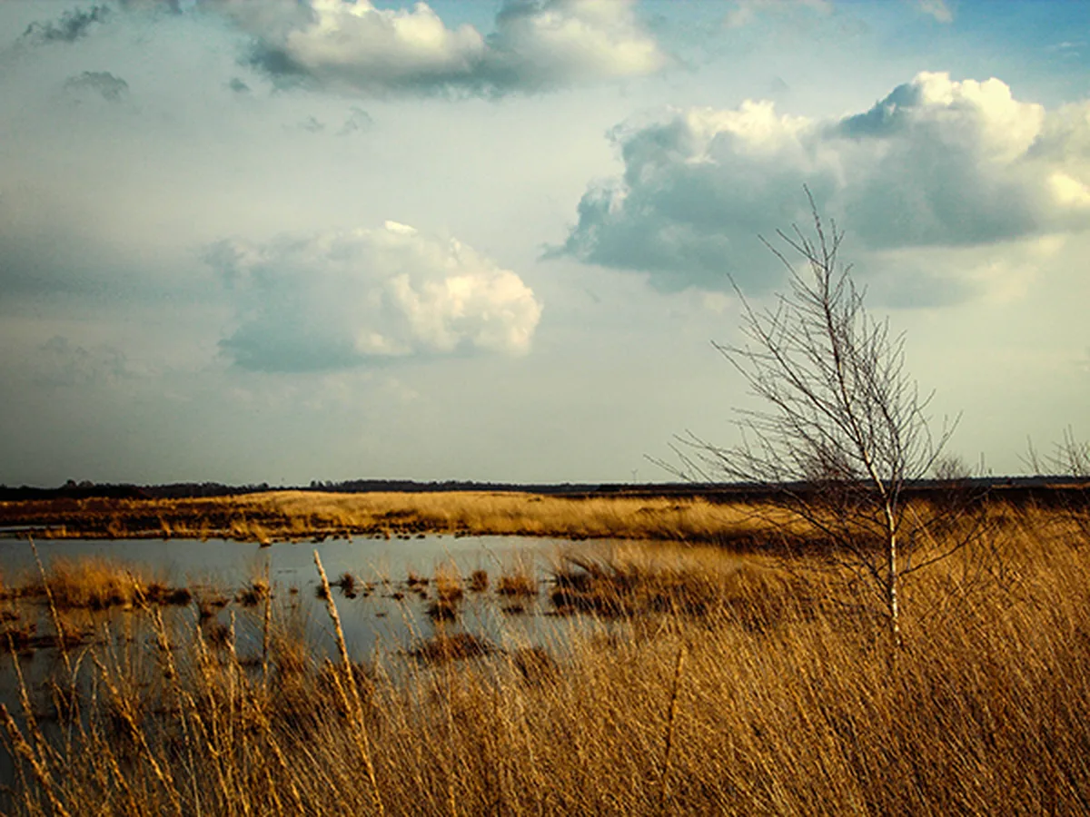 Moorlandschaft bei Uchte — Ruhe, Weite und Frieden direkt vor der Werkstatt