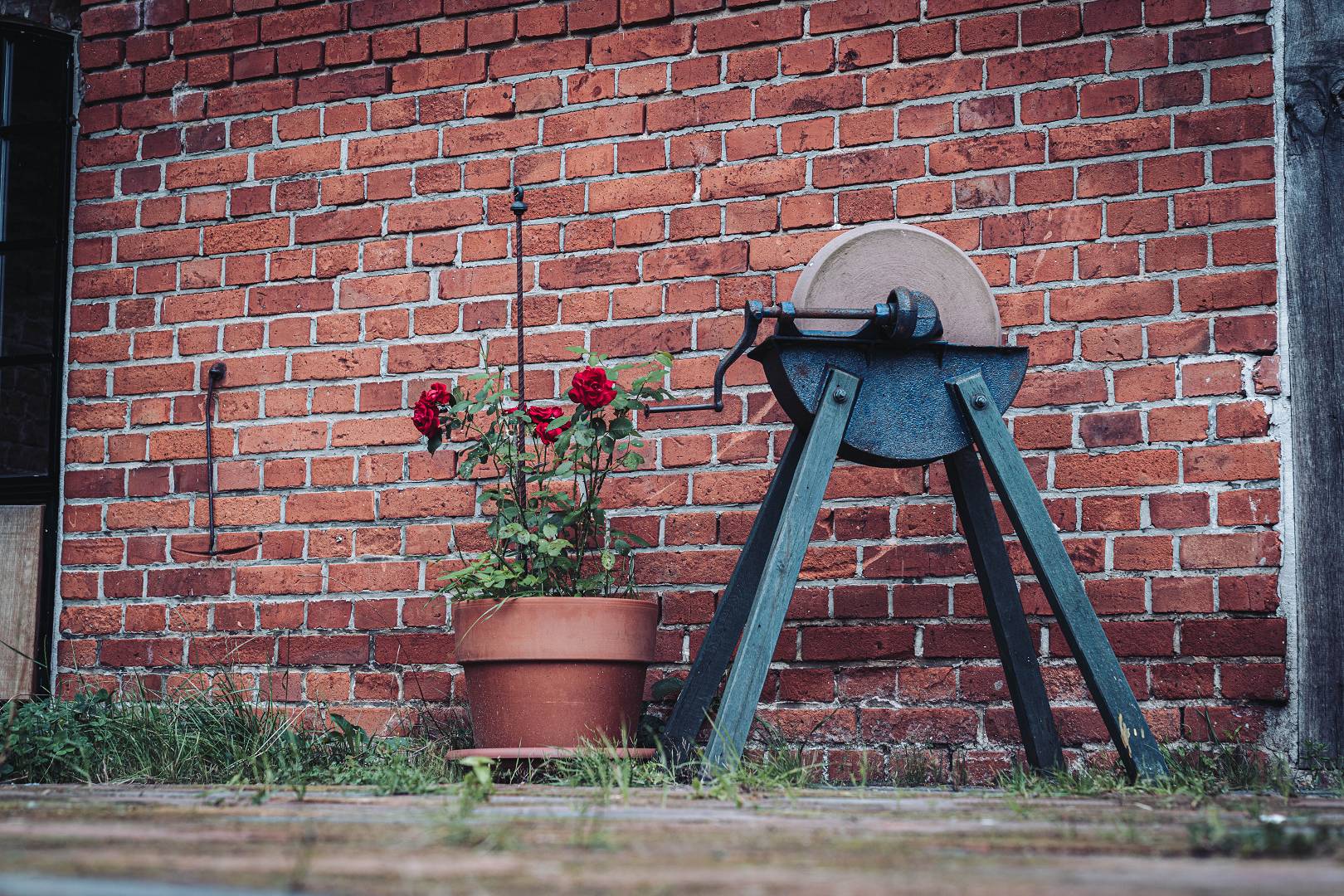 Alter Schleifstein vor der Moorschmied-Werkstatt mit Rosen